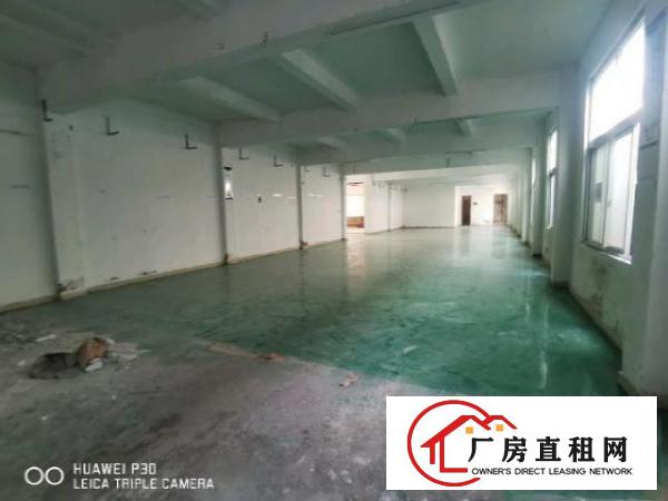 平湖一楼独院厂房出租