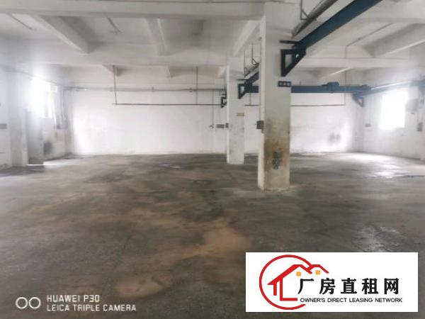  平湖一楼厂房稀缺资源出租