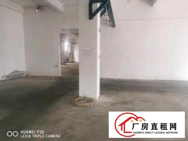  平湖一楼厂房稀缺资源出租