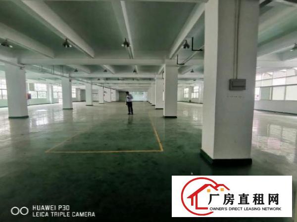  平湖原房东二楼厂房出租