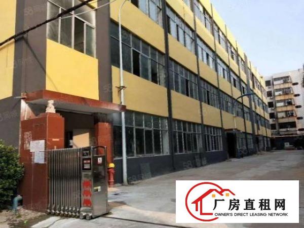  平湖广场附近新出稀有漂亮厂房，可大小分租共1600平