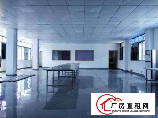  平湖广场附近新出稀有漂亮厂房，可大小分租共1600平