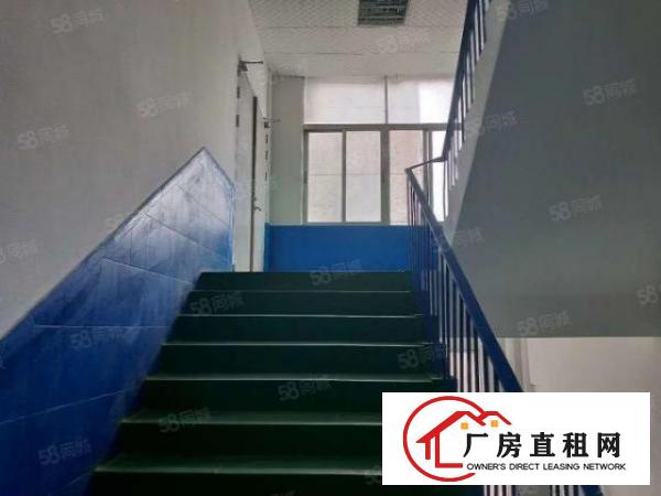  平湖广场附近新出稀有漂亮厂房，可大小分租共1600平