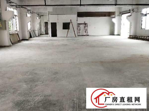  平湖经典小独院厂房1700平方出租