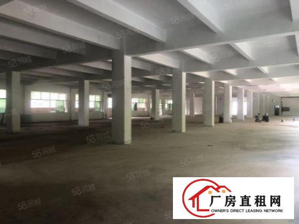  平湖新南社区原房东3楼2150平厂房有办公室