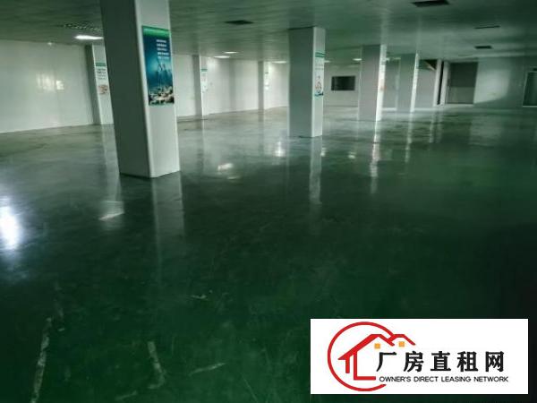  山厦工业区2楼厂房招租，可大小分租