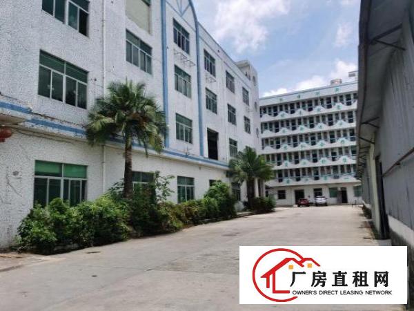  山厦工业区2楼厂房招租，可大小分租