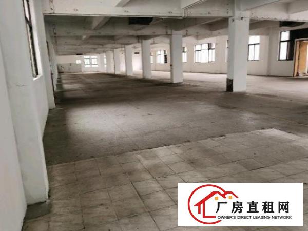  花园试独院厂房招租，大小分租，现成水电办公室