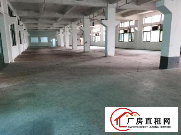  花园试独院厂房招租，大小分租，现成水电办公室