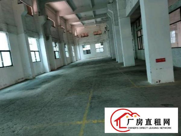  花园试独院厂房招租，大小分租，现成水电办公室