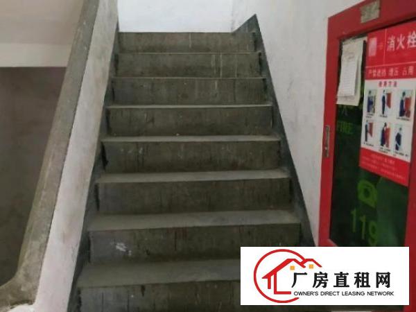  平湖良安田新木厂房仓库方正价惠可合或分租非中介