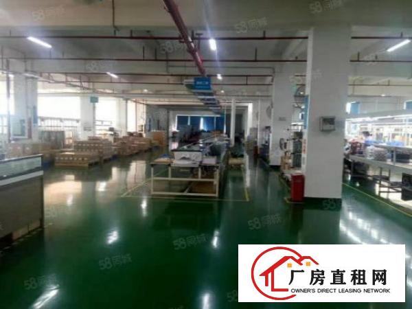  平湖华南城带红本电商园1800平方厂房出租，适合电商，研发等