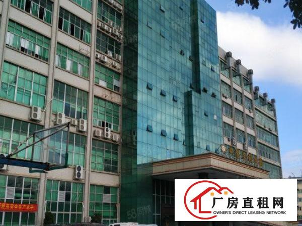  平湖华南城带红本电商园1800平方厂房出租，适合电商，研发等