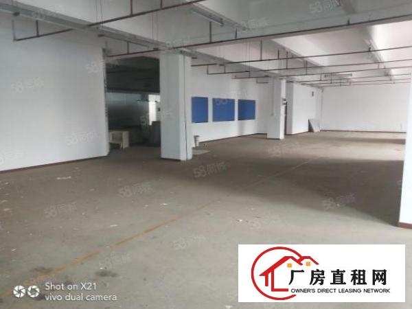  华南城电商办公室，仓库招租，118平，158平，260平等