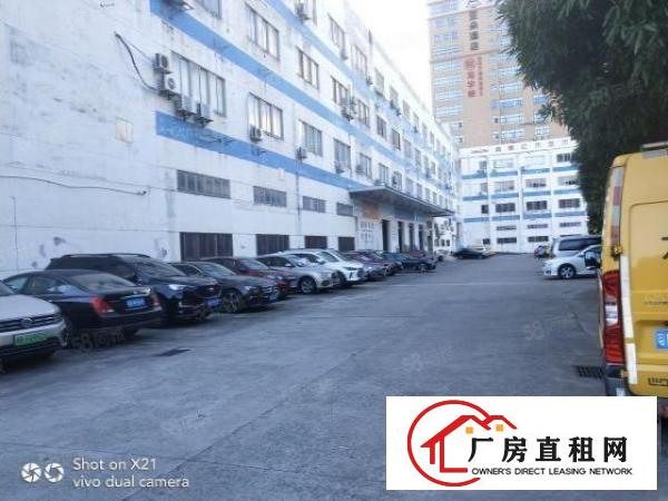  华南城电商办公室，仓库招租，118平，158平，260平等