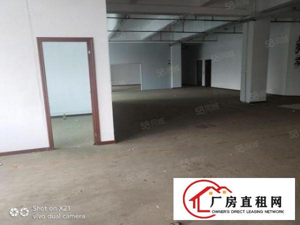  华南城电商办公室，仓库招租，118平，158平，260平等