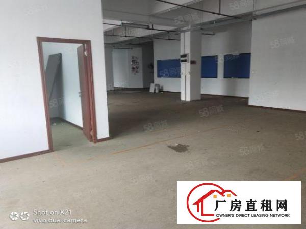  华南城电商办公室，仓库招租，118平，158平，260平等