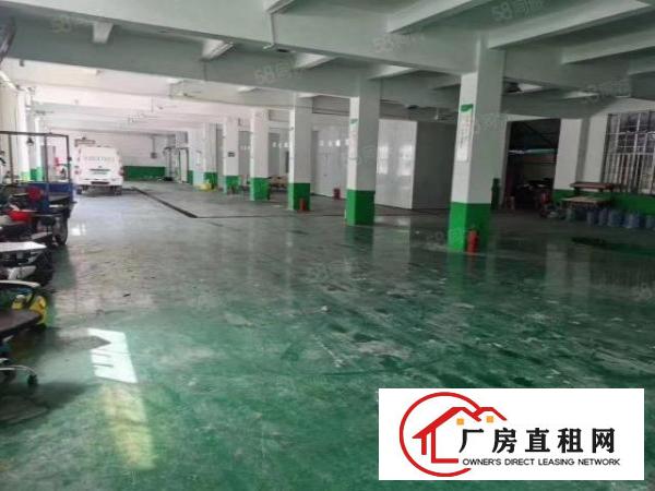  平湖广场1至2楼厂房出租每层1300