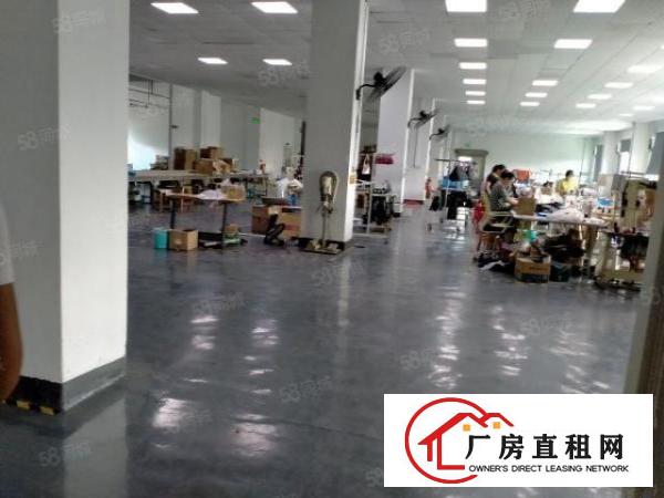  平湖广场1至2楼厂房出租每层1300