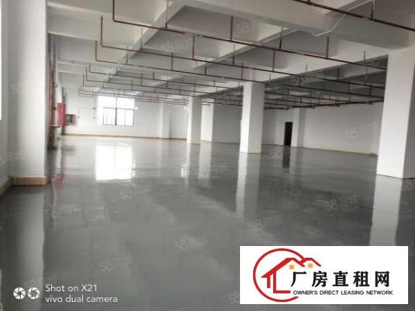  平湖富民工业区9200平米招租，每层2300平米，可分租，