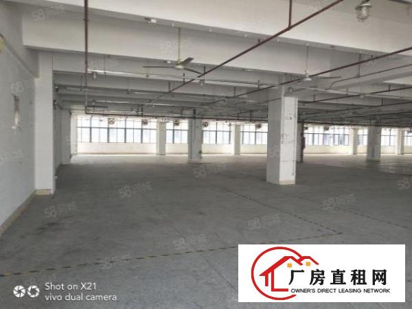 平湖富民工业区9200平米招租，每层2300平米，可分租，