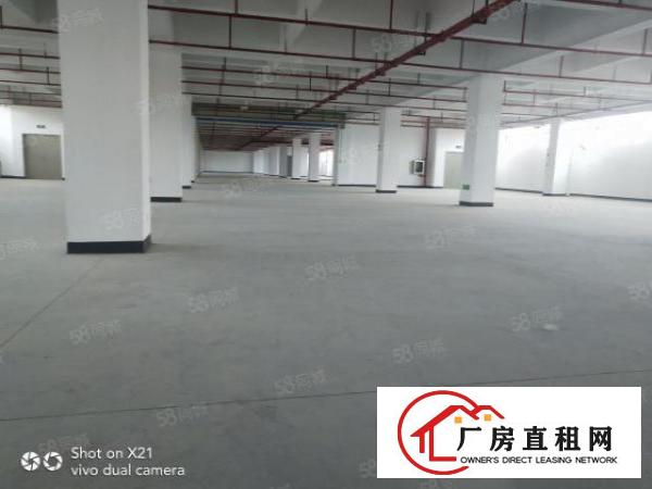  平湖富民工业区9200平米招租，每层2300平米，可分租，