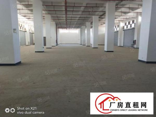  平湖富民工业区9200平米招租，每层2300平米，可分租，