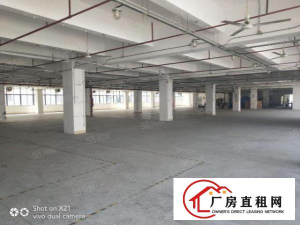  平湖富民工业区9200平米招租，每层2300平米，可分租，