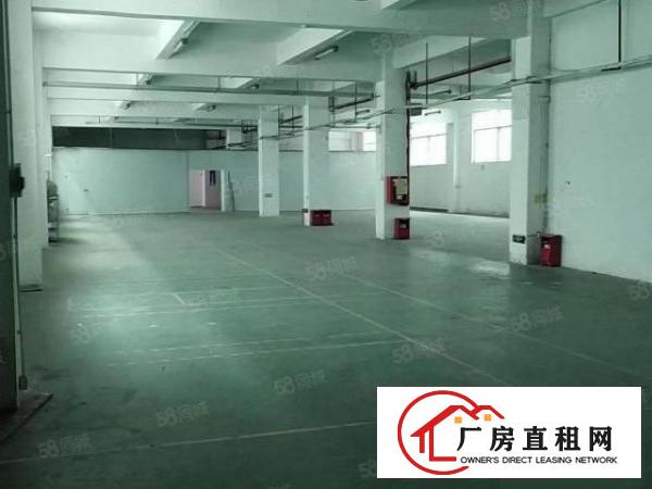  平湖华南城1000平小独院厂房