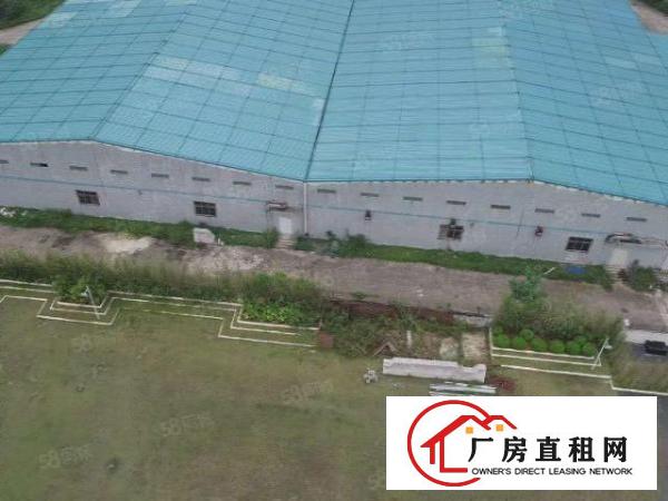  平湖华南城附近新出滴水9米带卸货平台11000平钢构厂房可分