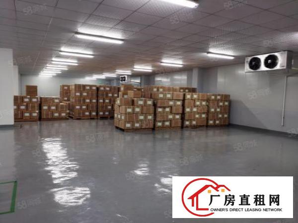  平湖山厦工业区1100平方带恒温仓厂房出租