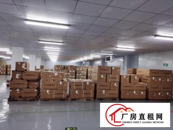  平湖山厦工业区1100平方带恒温仓厂房出租