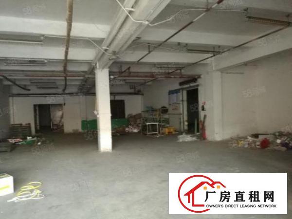  平湖白泥坑海吉星附近麻布路大量1楼2楼带冻库厂房出租