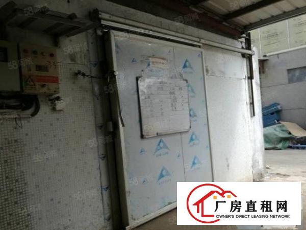  平湖白泥坑海吉星附近麻布路大量1楼2楼带冻库厂房出租
