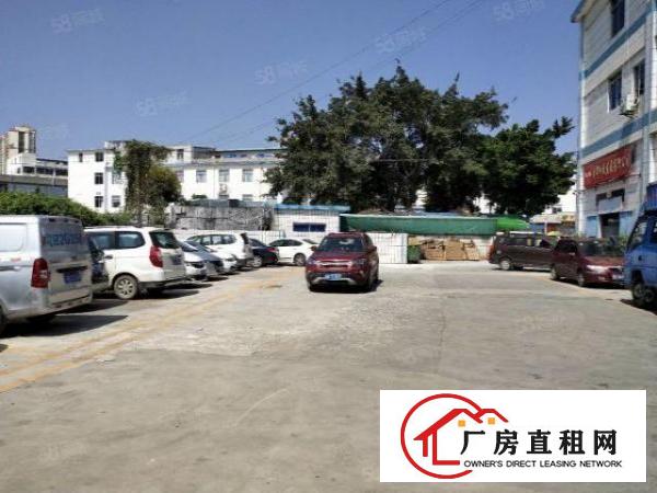  平湖小面积整层楼厂房出租600平