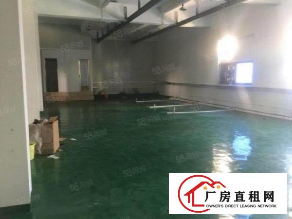  一楼标准厂房520平方出租，拎包入住