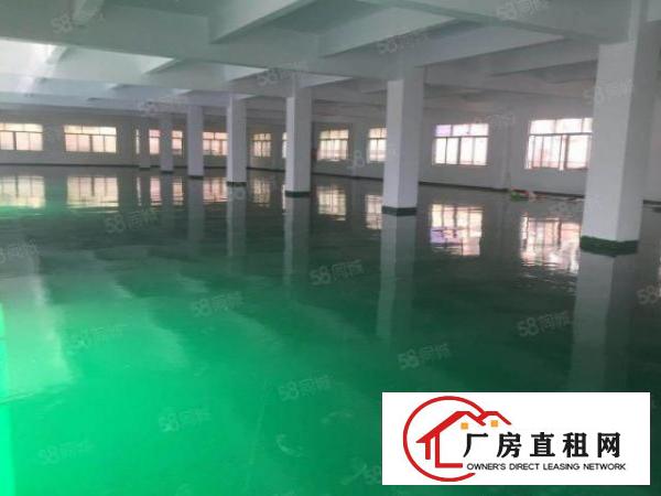  平湖华南城旁边厂房出租