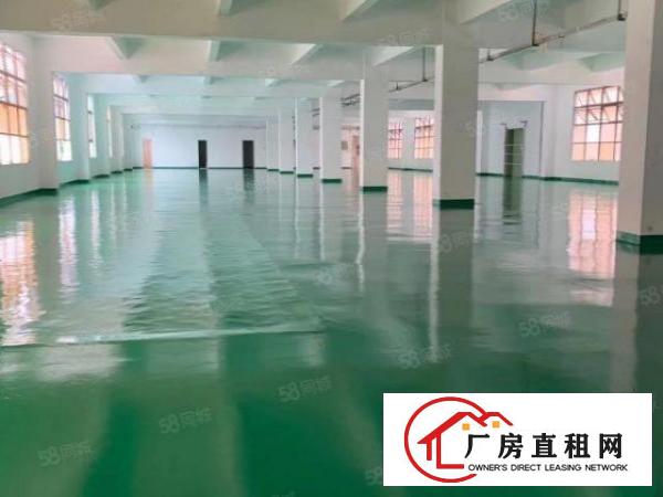  平湖华南城旁边厂房出租