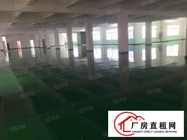  平湖华南城旁边厂房出租
