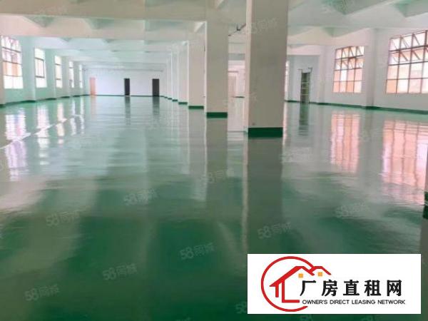  平湖华南城旁边厂房出租