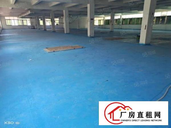  平湖水门路厂房出租，面积大小都有