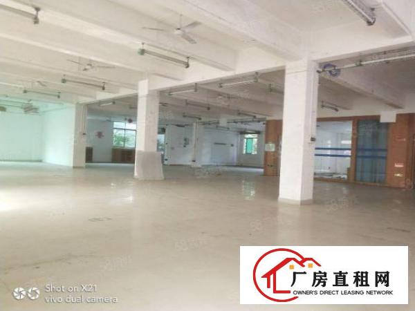  平湖独院厂房6000，每一层1500，主干道上车进出方便