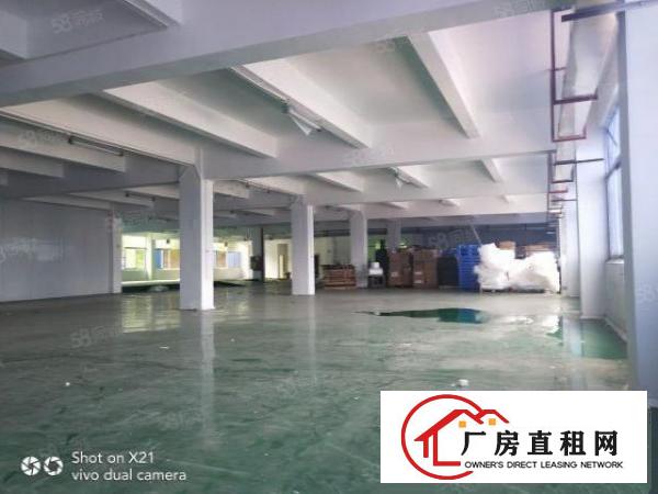  平湖独院厂房6000，每一层1500，主干道上车进出方便