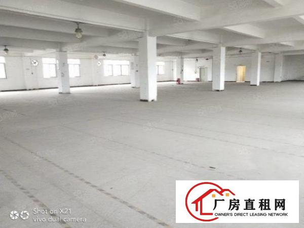  平湖独院厂房6000，每一层1500，主干道上车进出方便