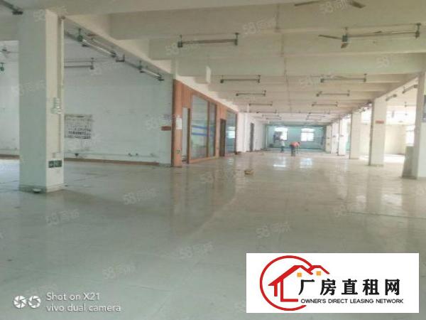  平湖独院厂房6000，每一层1500，主干道上车进出方便