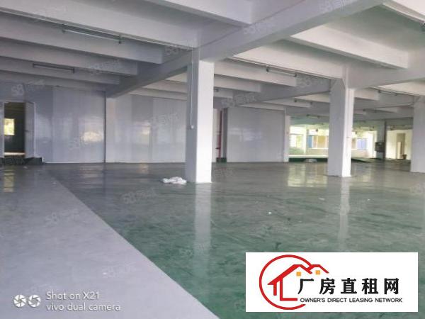  平湖独院厂房6000，每一层1500，主干道上车进出方便