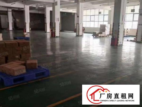  平湖海吉星附近工业园一楼2500平方带冻库厂房出租，可分租！