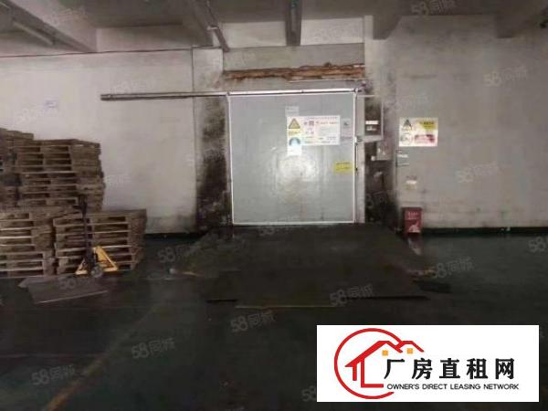  平湖海吉星附近工业园一楼2500平方带冻库厂房出租，可分租！