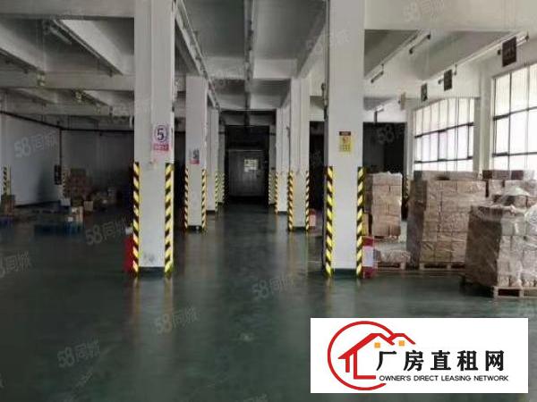  平湖海吉星附近工业园一楼2500平方带冻库厂房出租，可分租！