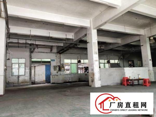  平湖罗山工业区现空出国有双证独院厂房分租